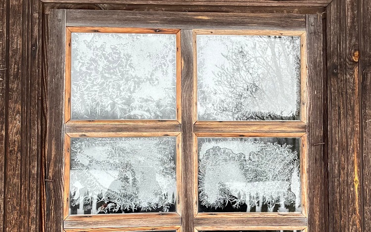 Default Alt